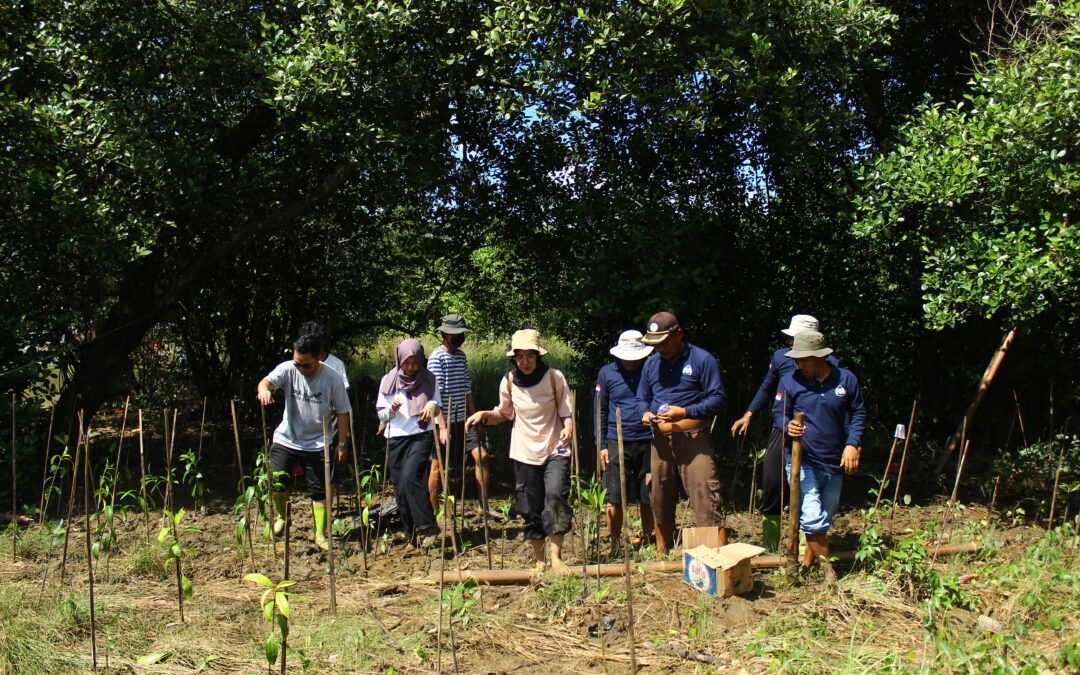 Turut Berkontribusi untuk Lingkungan, Rumah Wakaf Dukung Aksi Penanaman Mangrove