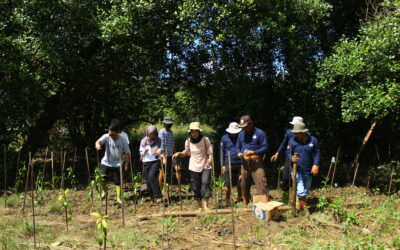Turut Berkontribusi untuk Lingkungan, Rumah Wakaf Dukung Aksi Penanaman Mangrove